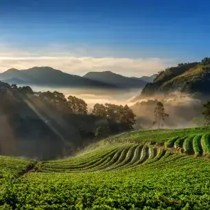 Special Interest Tours